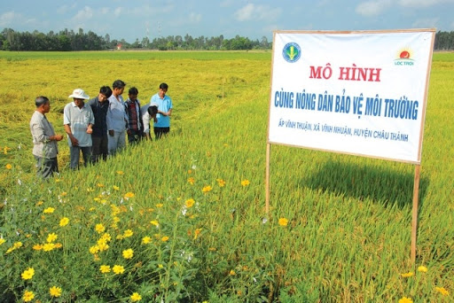 Nhờ đẩy mạnh tuyên truyền về bảo vệ môi trường của các cấp hội nông dân nên trên đồng ruộng ở các làng quê đã tạo dựng nhiều sản phẩm "xanh, sạch, an toàn" 