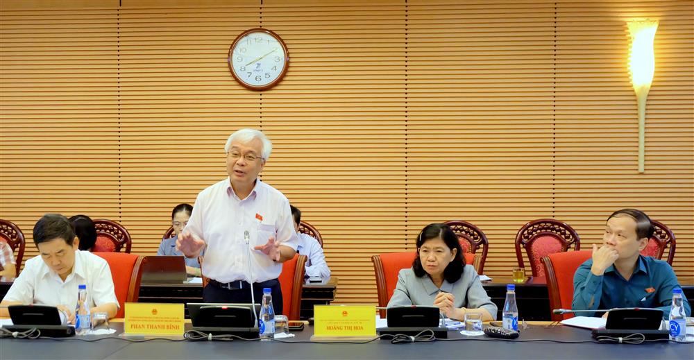 Chủ nhiệm Ủy ban Văn hóa, Giáo dục, Thanh niên, Thiếu niên và Nhi đồng Phan Thanh Bình phát biểu tại buổi làm việc