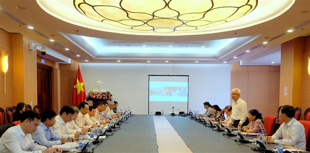 Chủ nhiệm Ủy ban Văn hóa, Giáo dục, Thanh niên, Thiếu niên và Nhi đồng Phan Thanh Bình phát biểu tại buổi làm việc 