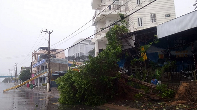 Nhiều tuyến phố TP Tuy Hòa tan hoang sau bão
