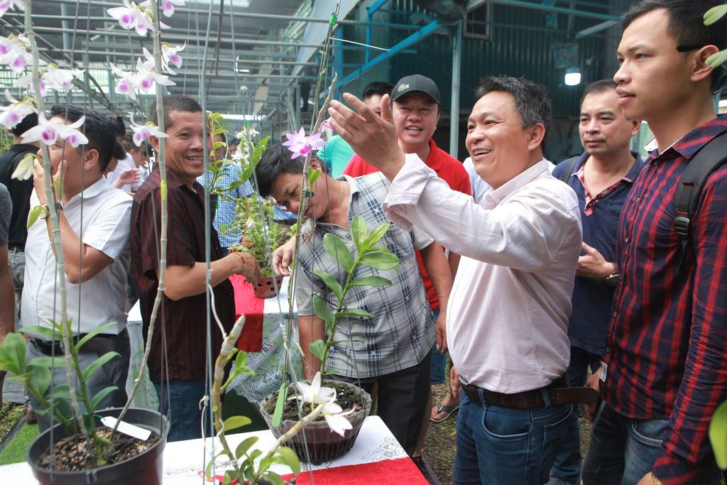 	Làng hoa lan Đông La, huyện Hoài Đức, Hà Nội đang được đề nghị công nhận làng nghề