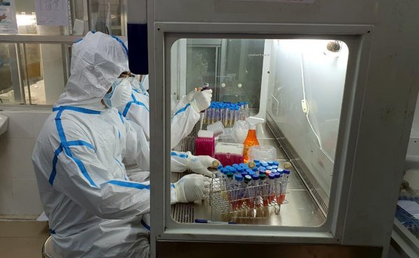 	Biến chủng virus SARS-CoV-2 chưa ảnh hưởng tới hoạt động thử nghiệm vaccine phòng Covid-19 Nguồn: ITN
