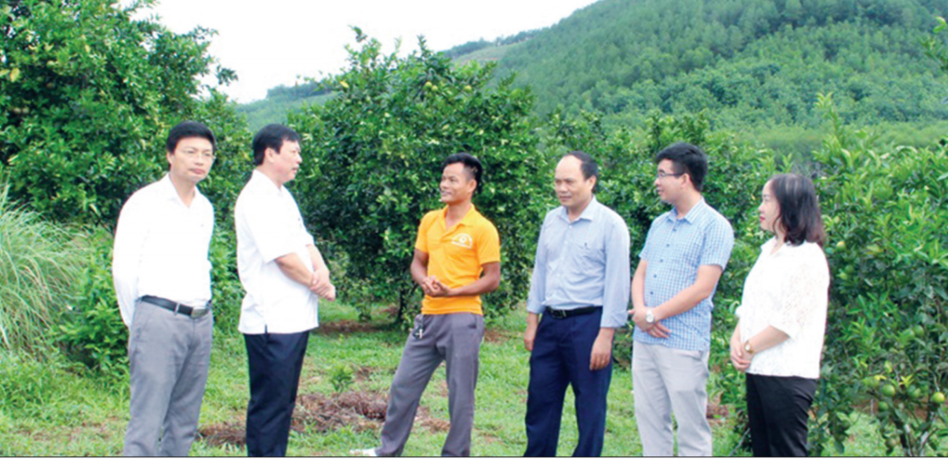 Đoàn giám sát HĐND tỉnh Hà Tĩnh khảo sát thực tế tại huyện Can Lộc về Chương trình mỗi xã một sản phẩm Ảnh: Lê Trang