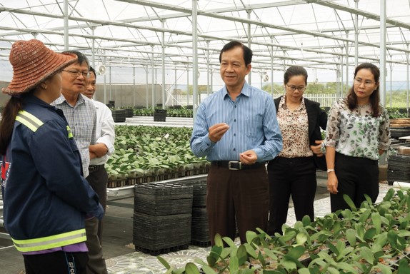 Phó Chủ tịch HĐND tỉnh Ninh Thuận Trần Minh Lực khảo sát mô hình trồng lan trên địa bàn thôn Tân Bình, xã Lâm Sơn, huyện Ninh Sơn - Ảnh KIM THÙY