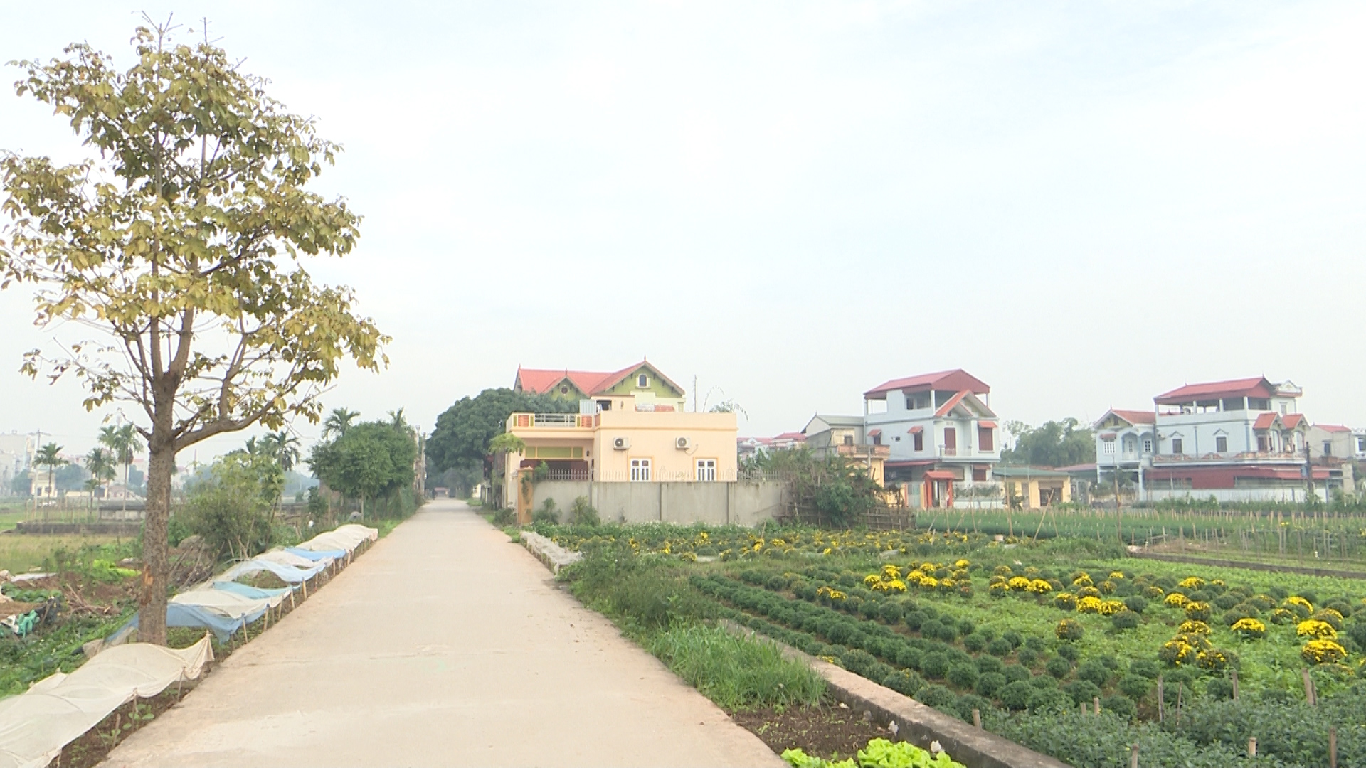 	Diện mạo nông thôn mới huyện Thường Tín ngày càng khởi sắc