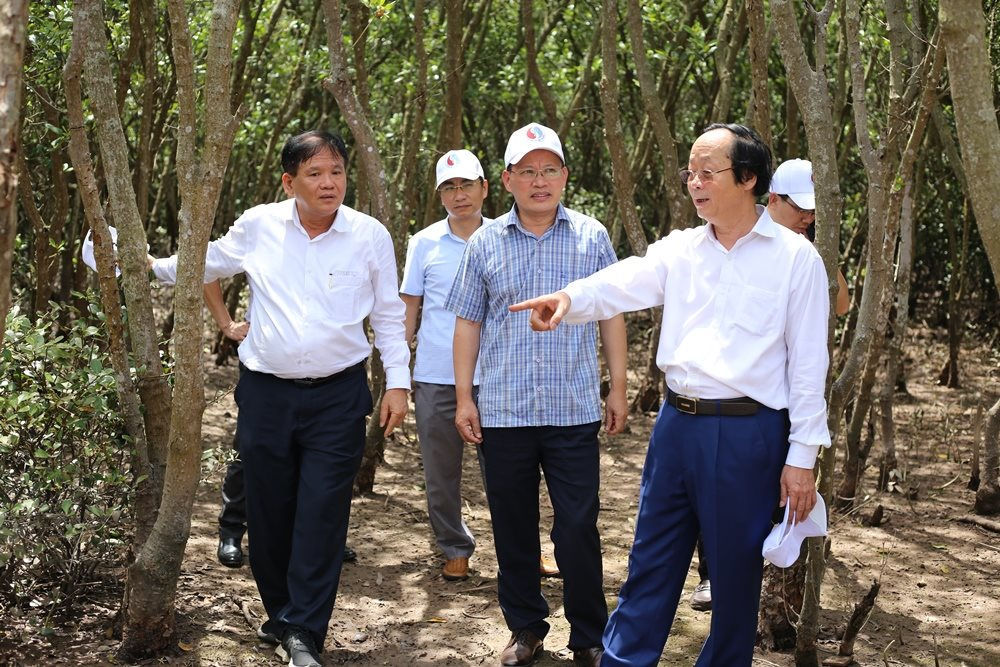 Thứ trưởng Bộ Tài nguyên và Môi trường Võ Tuấn Nhân, Tổng cục trưởng Nguyễn Văn Tài đi thăm rừng ngập mặn trong khu bảo tồn thiên nhiên đất ngập nước