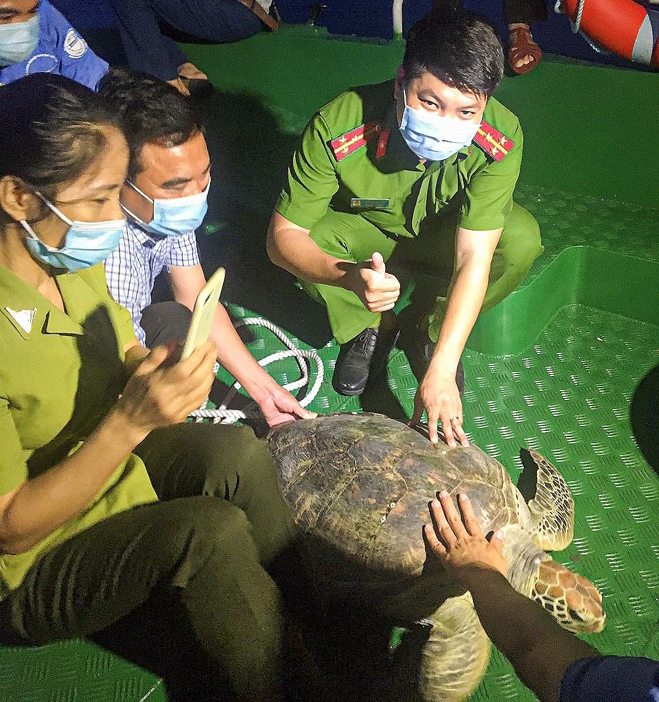 Cá thể rùa được lực lượng chức năng cứu hộ