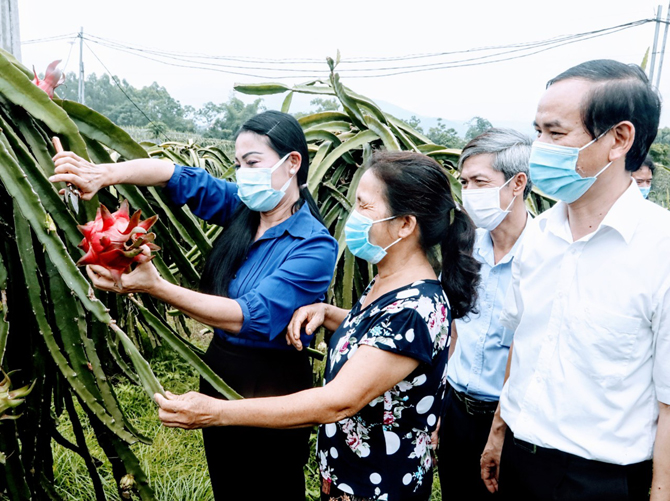 Ủy viên Trung ương Đảng, Bí thư Tỉnh ủy, Chủ tịch HĐND tỉnh Hoàng Thị Thúy Lan thăm mô hình trồng thanh long ruột đỏ của nông dân huyện Lập Thạch