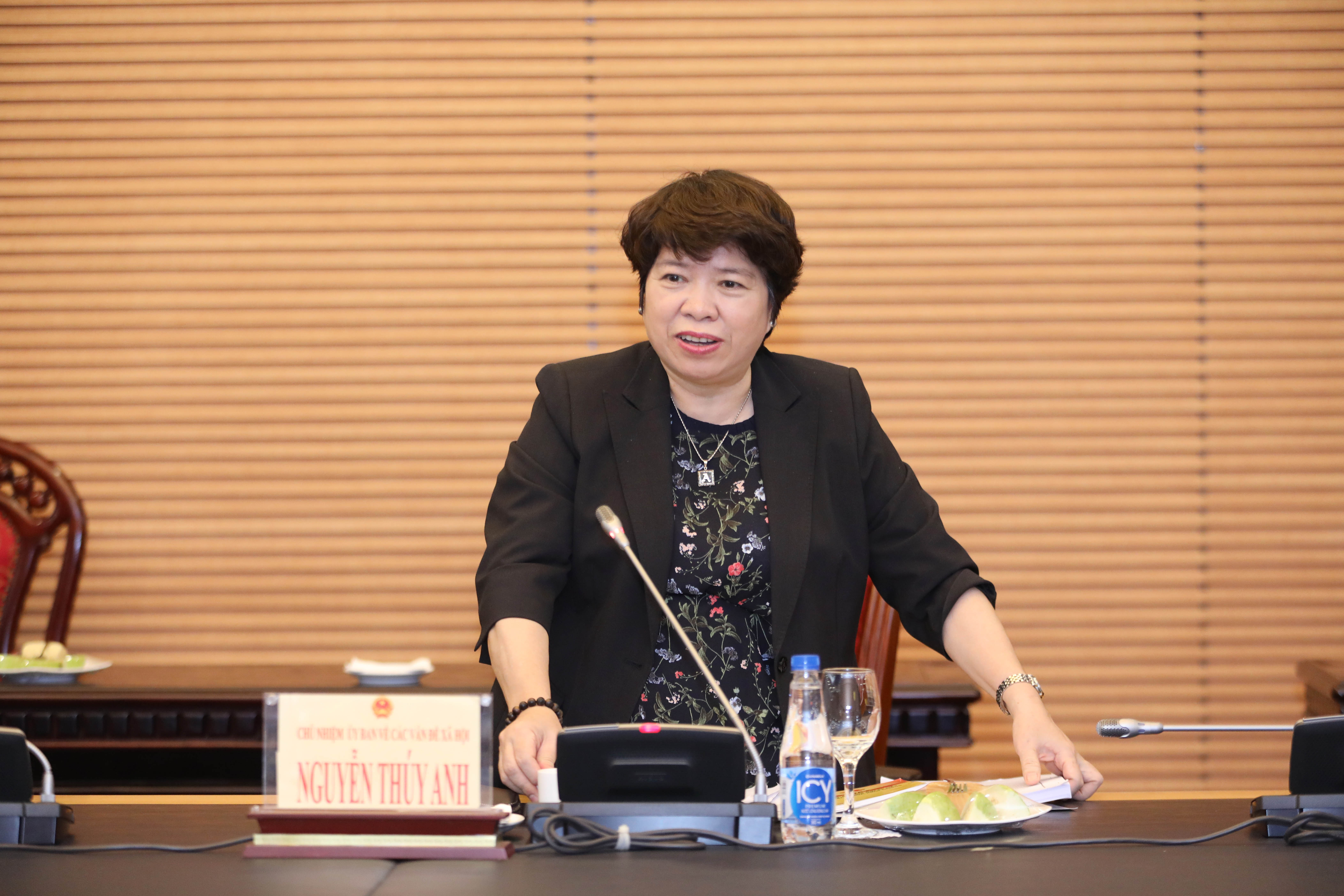 Chủ nhiệm Ủy ban Về các vấn đề xã hội Nguyễn Thúy Anh phát biểu