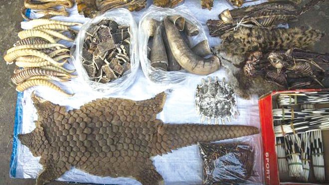 Cần sớm có biện pháp để ngăn chặn sản phẩm từ động vật hoang dã được bày bán tại các chợ