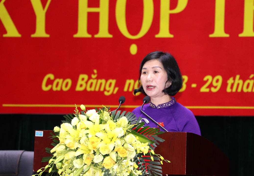 Phó chủ tịch UBND tỉnh Nguyễn Bích Ngọc báo cáo tóm tắt tình hình kinh tế - xã hội 6 tháng đầu năm 2021