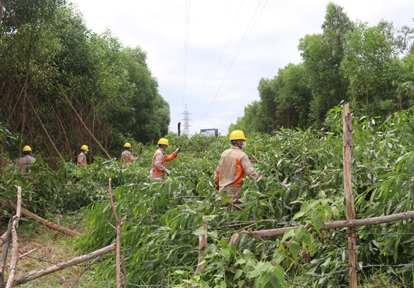 Phát quang hành lang tuyến đường dây 110kV trên địa bàn xã Nghi Thiết, huyện Nghi Lộc