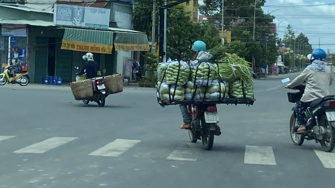 Thương lái vận chuyển nông sản trong tỉnh bằng xe mô tô theo hình thức nhỏ lẻ
