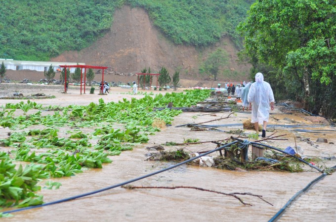 6 tháng đầu năm 2021, tỉnh Lâm Đồng thiệt hại khoảng 10 tỷ đồng do thiên ta