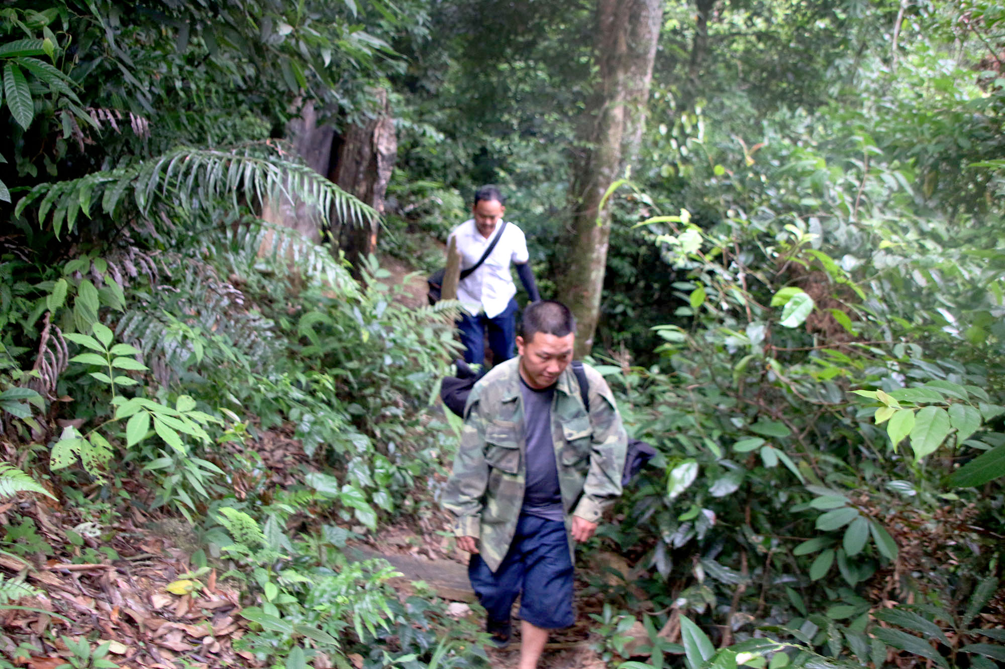 Khu rừng cộng đồng ở độ cao trên 1.600m, là nơi Xồng Bá Lẩu thử nghiệm cây dược liệu