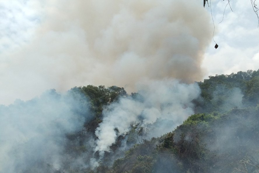 Hiện trường vụ cháy rừng mà ông Ninh đốt thực bì gây nên