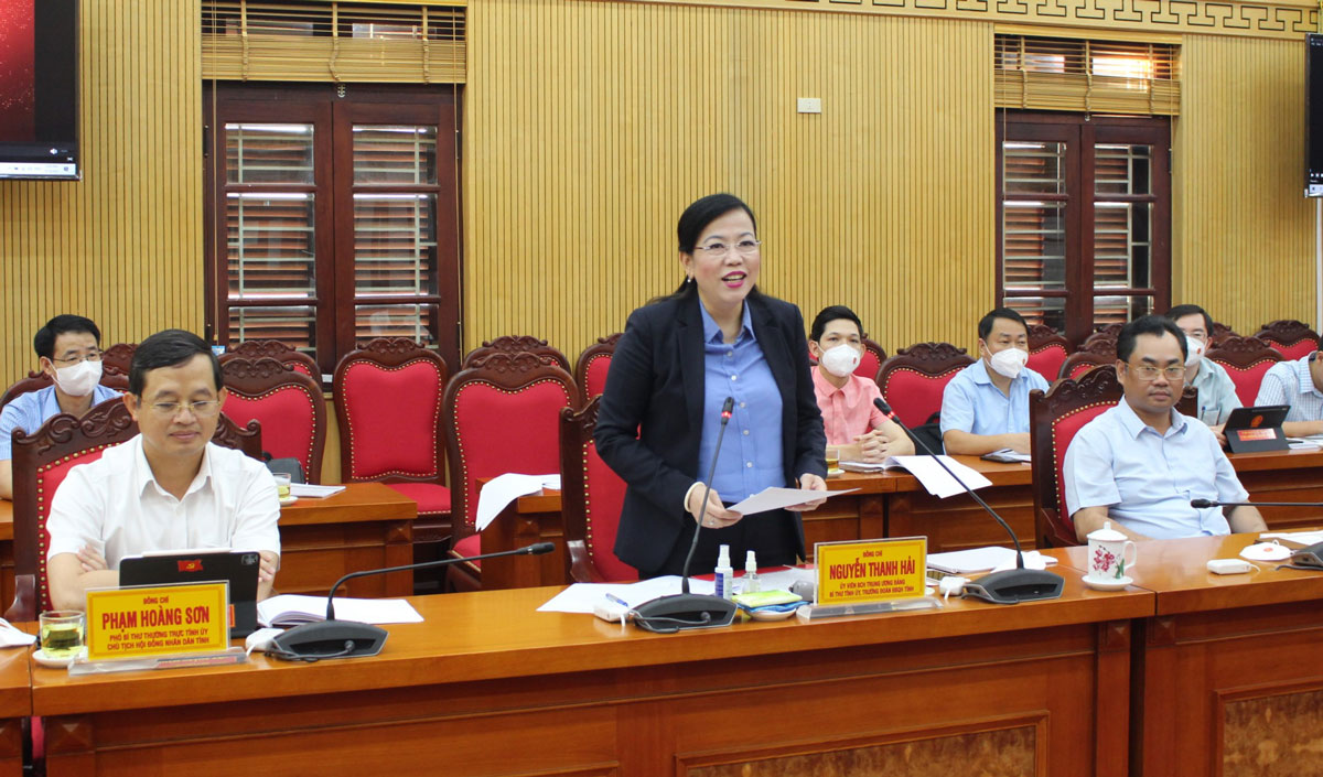 Đồng chí Bí thư Tỉnh ủy Thái Nguyên Nguyễn Thanh Hải phát biểu tại buổi làm việc
