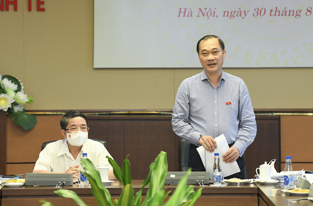 Ủy viên Trung ương Đảng, Chủ nhiệm Ủy ban Kinh tế Vũ Hồng Thanh phát biểu tại phiên họp
