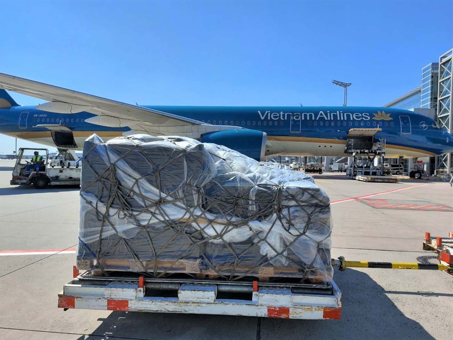Lô hàng được vận chuyển trên chuyến bay thẳng từ Frankfurt (Đức) đến sân bay quốc tế Cam Ranh (Khánh Hòa).