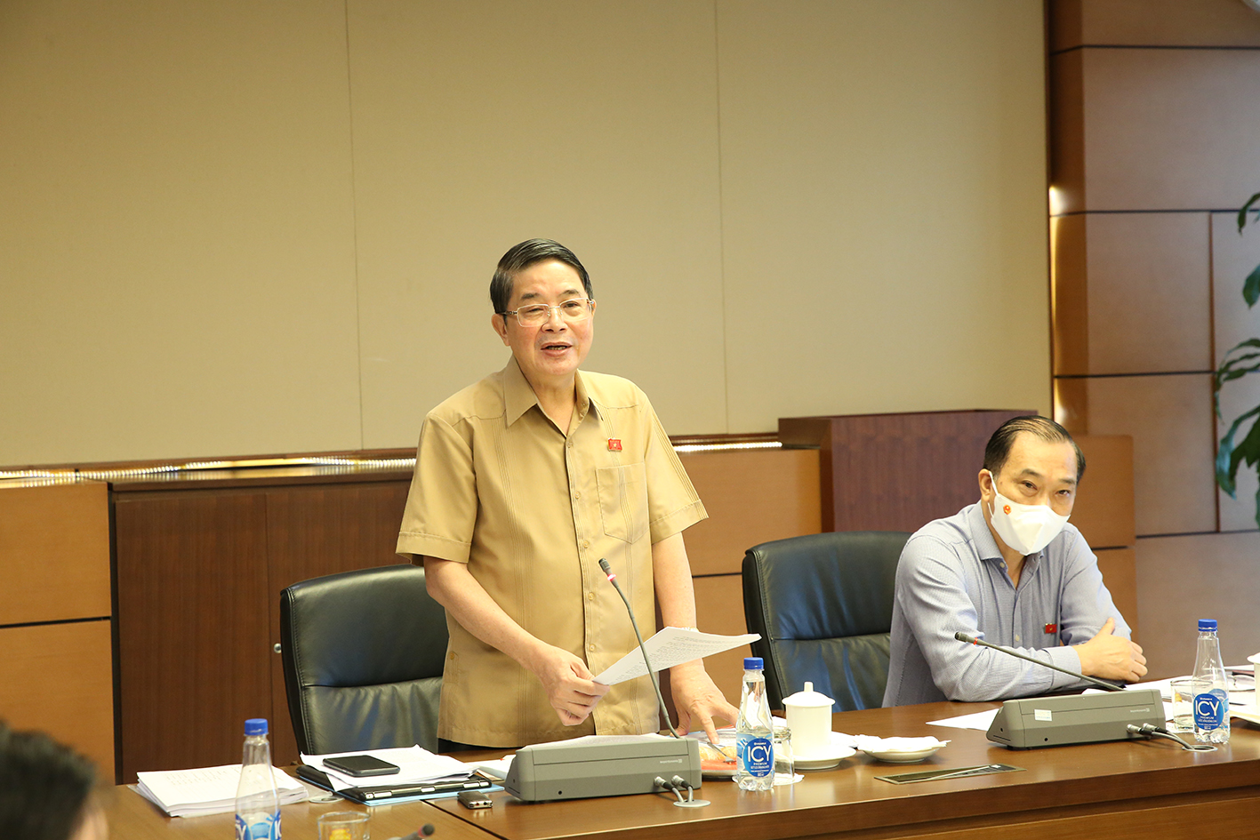 Phó Chủ tịch Quốc hội Nguyễn Đức Hải phát biểu tại Phiên họp (1)