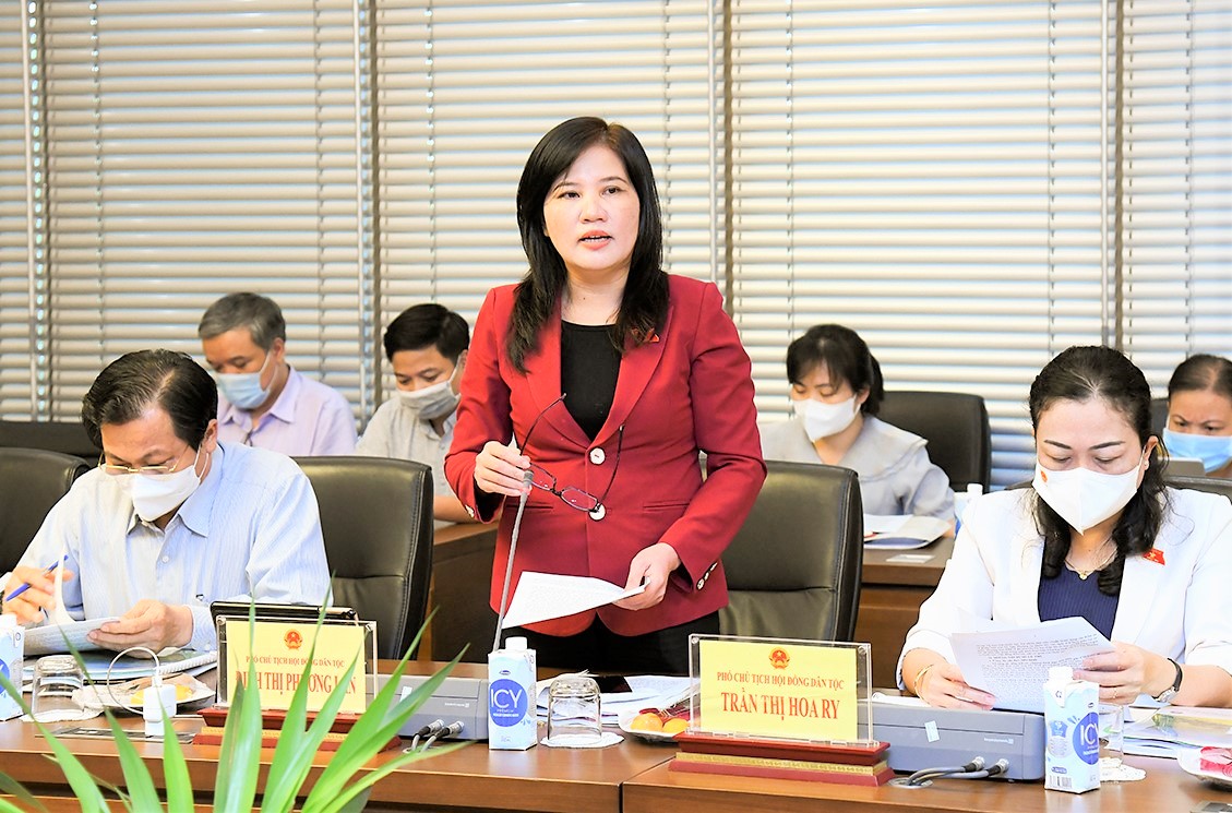 	Phó Chủ tịch Hội đồng Dân tộc Đinh Thị Phương Lan phát biểu tại Phiên họp