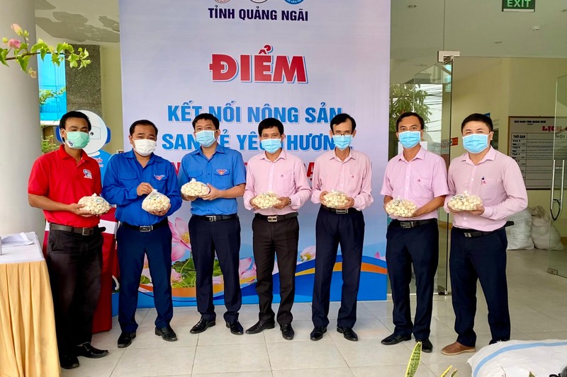 Cán bộ chi nhánh NHCSXH tỉnh Quảng Ngãi hỗ trợ tiêu thụ tỏi cho người dân Lý Sơn. Nguồn: ITN