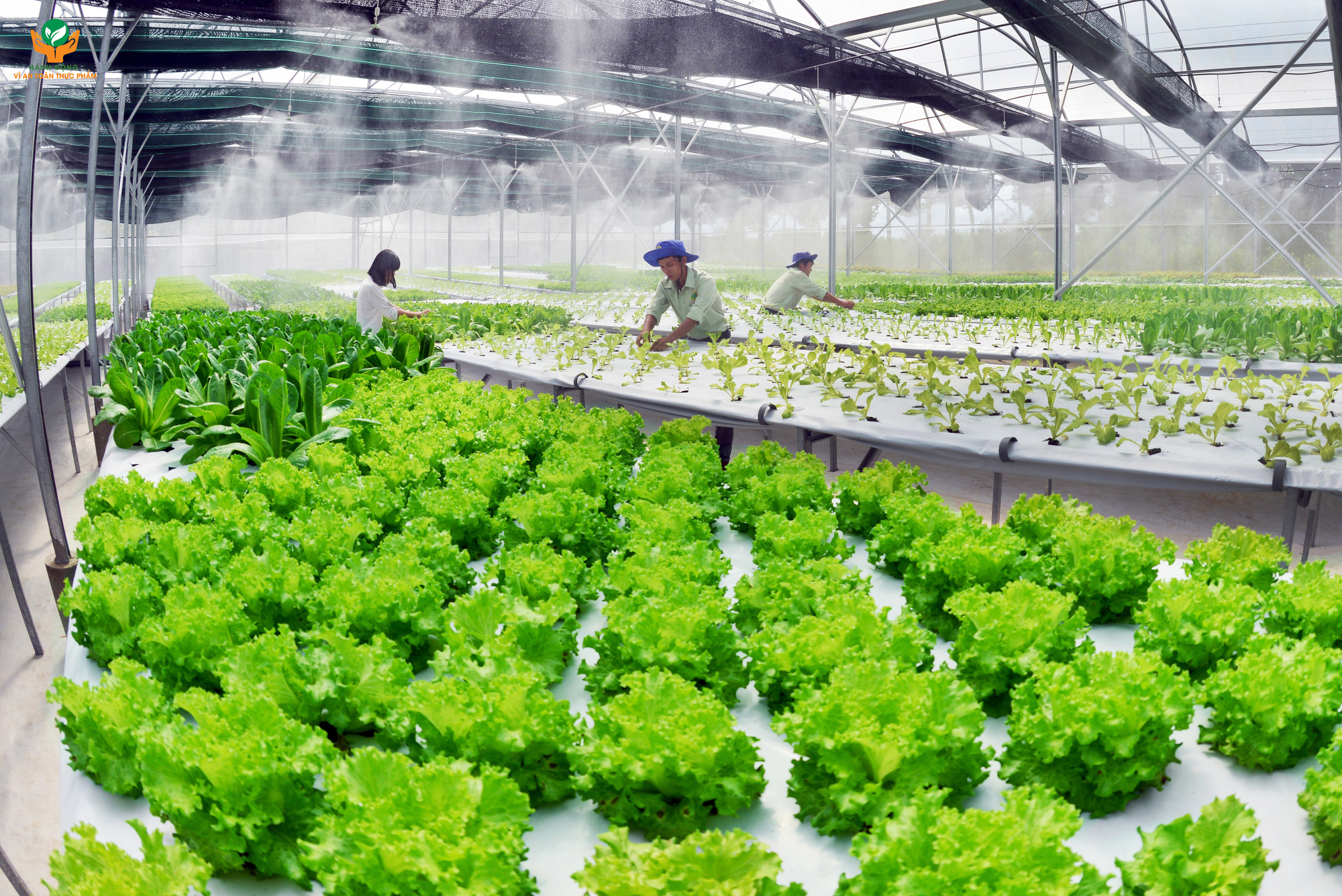 Hướng đến nền nông nghiệp bền vững  Viện Khoa học Nông nghiệp Việt Nam