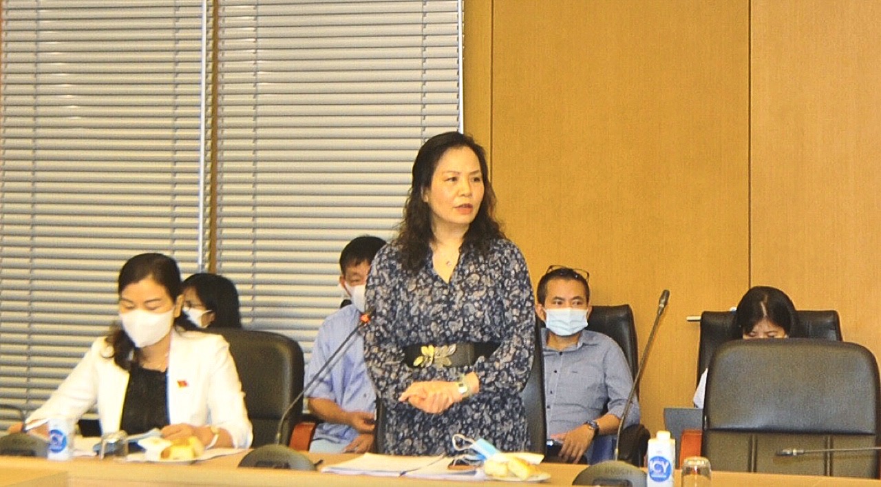 Chủ tịch Hiệp hội Xúc tiến phát triển Điện ảnh Việt Nam Ngô Phương Lan