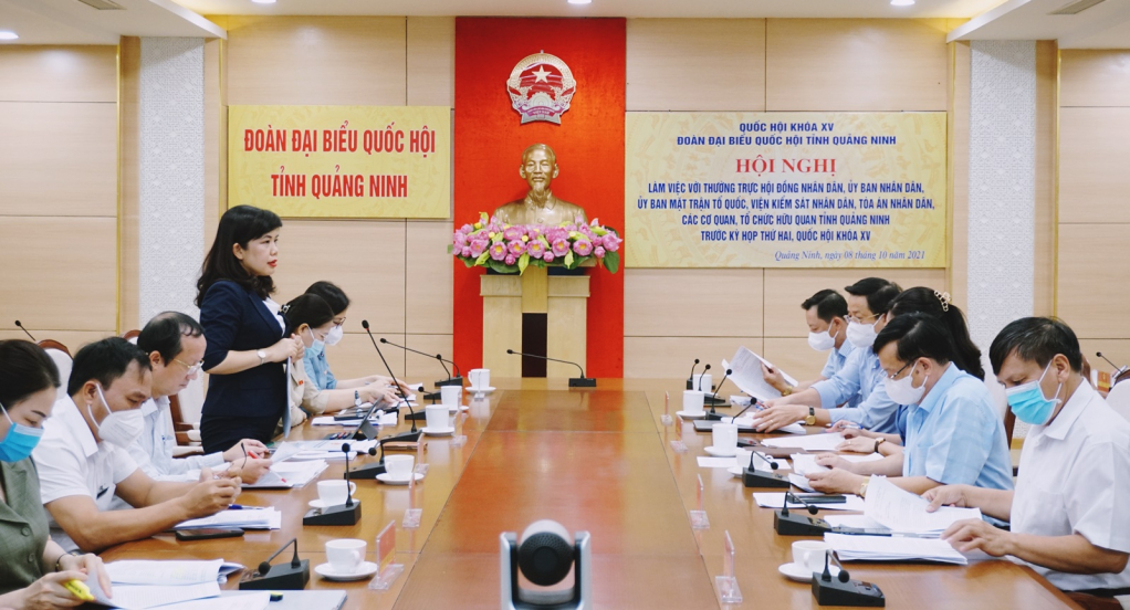 Phó trưởng Đoàn ĐBQH tỉnh Nguyễn Thị Thu Hà phát biểu tại hội nghị.jpg