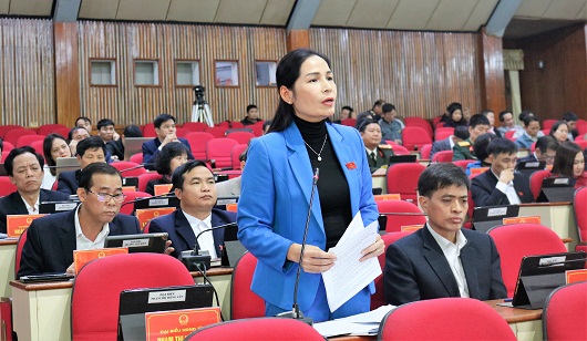 Đại biểu thảo luận tại Kỳ họp tứ 16, HĐND tỉnh Hà Giang nhiệm kỳ 2016 - 2021 - ẢNH BIỆN LUÂN
