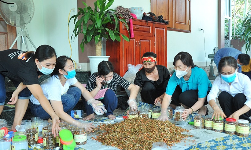 Món cá cơm đậu phộng được phụ nữ Nghi Xuân, Hà Tĩnh, gửi đồng bào miền Nam