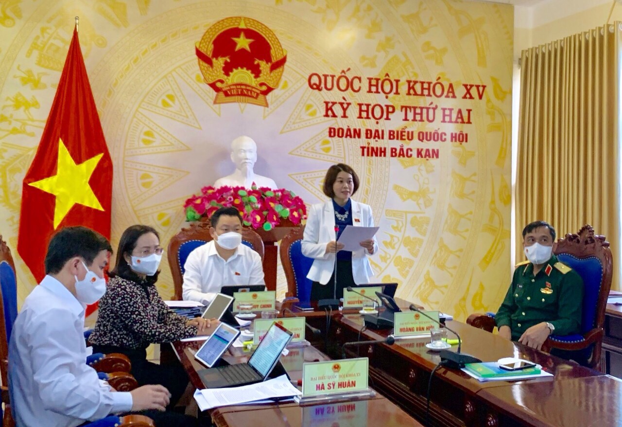 ĐBQH Nguyễn Thị Huế (Bắc Kạn) góp ý vào dự thảo Luật Điện ảnh (sửa đổi)
