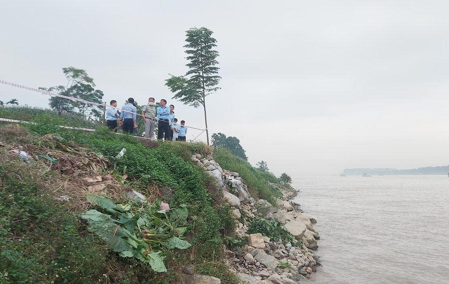 Đoàn công tác Sở NN&PTNT Hà Nội kiểm tra công tác quản lý, sử dụng bãi sông Hồng thuộc địa bàn huyện Phúc Thọ