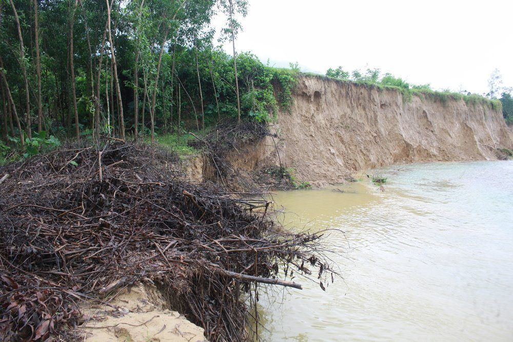 Sạt lở nghiêm trọng ở sông Trà Bồng đoạn qua xã Trà Phú