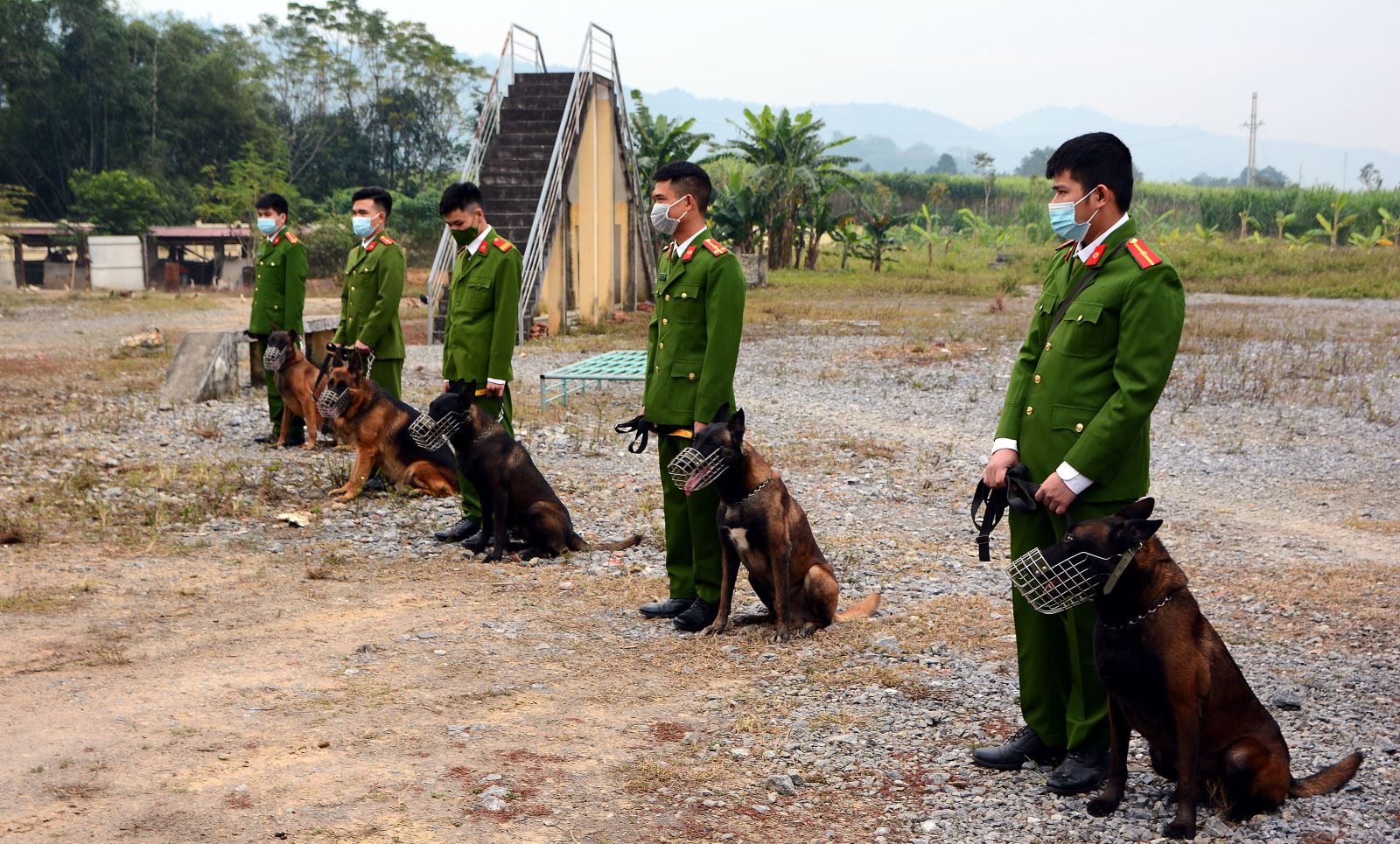 Lực lượng CSCĐ tỉnh đang huấn luyện chó nghiệp vụ