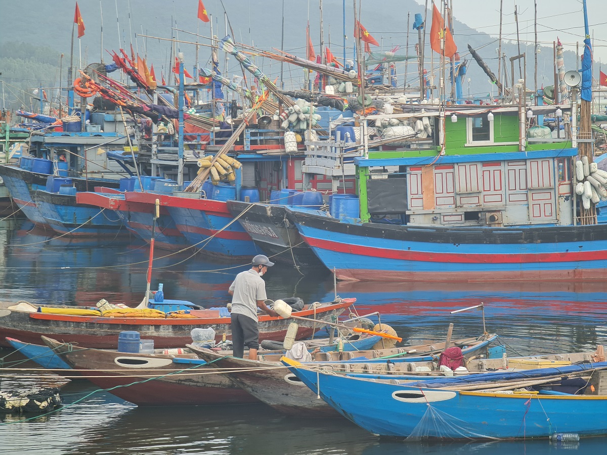 ngư dân tổ chức neo đậu tàu thuyền tránh bão tại Âu thuyền Thọ Quang, Đà Nẵng.