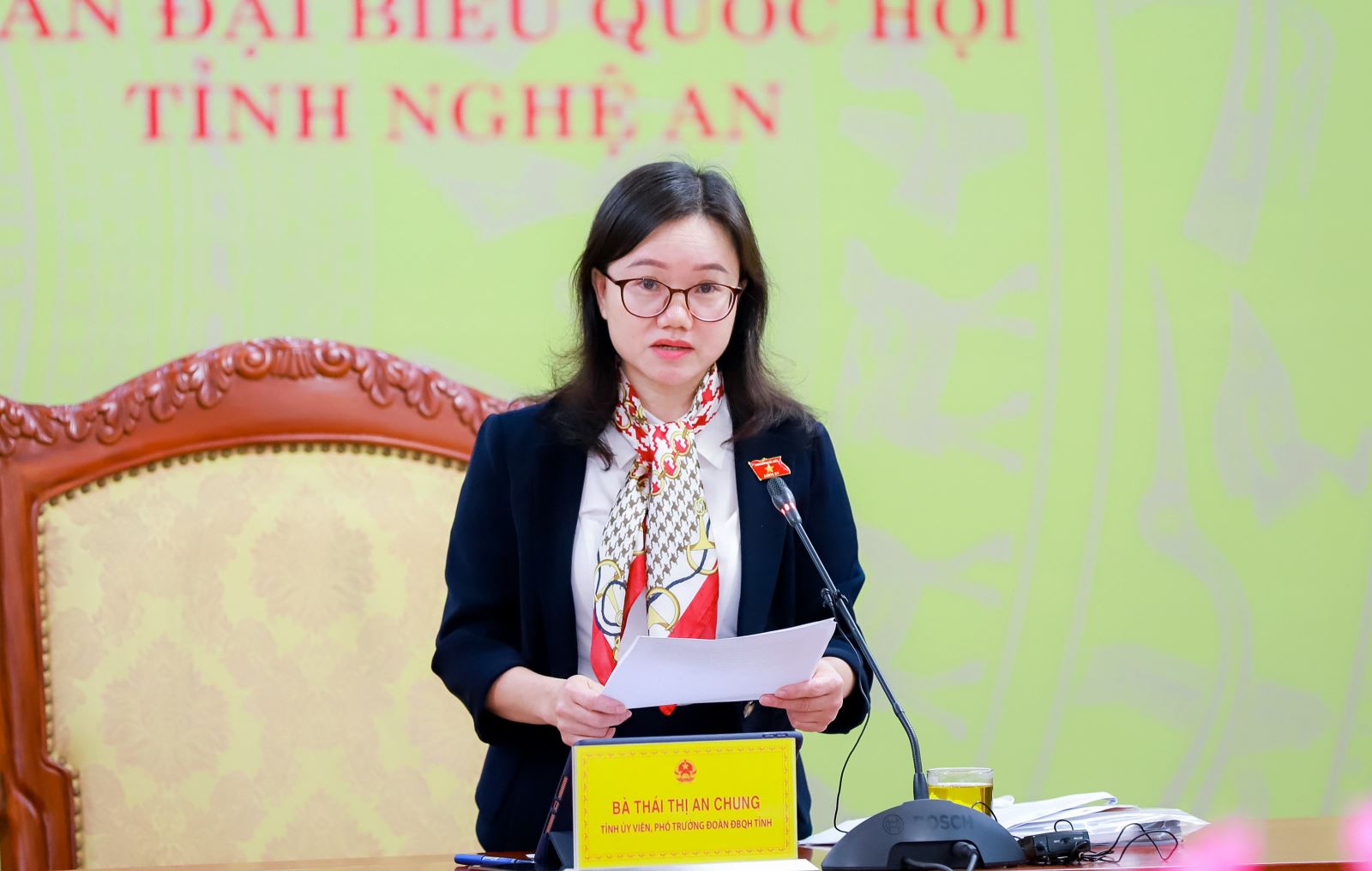 Phó Trưởng đoàn ĐBQH tỉnh Nghệ An Thái Thị An Chung phát biểu thảo luận