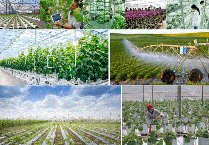 Ứng dụng công nghệ cao trong sản xuất nông nghiệp Nâng giá trị sản phẩm   Sở nông nghiệp và phát triển nông thôn