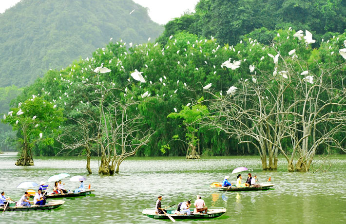 Ninh Bình được bình chọn là một trong những điểm đến tuyệt vời nhất, thân thiện nhất trên thế giới -0