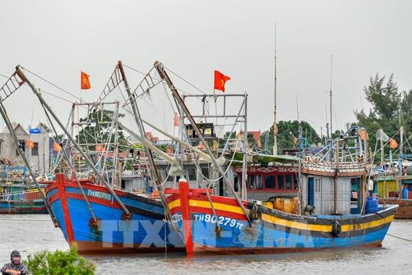 Thanh Hoa vessels possible of violating rules against IUU fishing announced -0