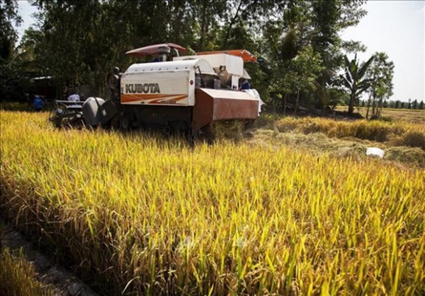 Vietnam eyes double investment in agriculture to 34 billion USD by 2030 -0