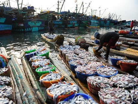 Indonesia to adopt fisheries models from neighbouring countries -0