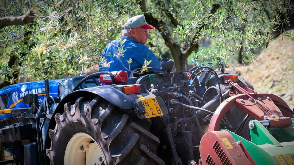 New Law in Italy Establishes Role of Farmers in Protecting Environment -0