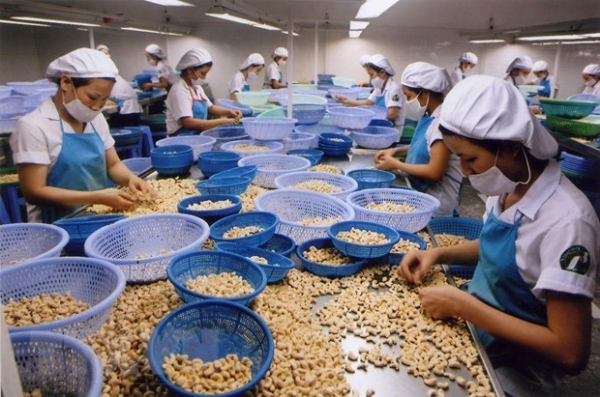 Vietnam to join conference on global agricultural supply chain connection -0