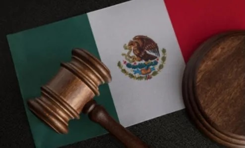 Mexican Regulator Proposes New Law On Public Procurement -0
