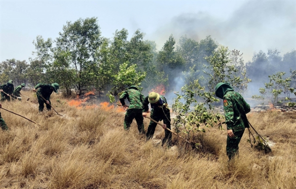 PM asks for effective preventive solutions against forest fires -0