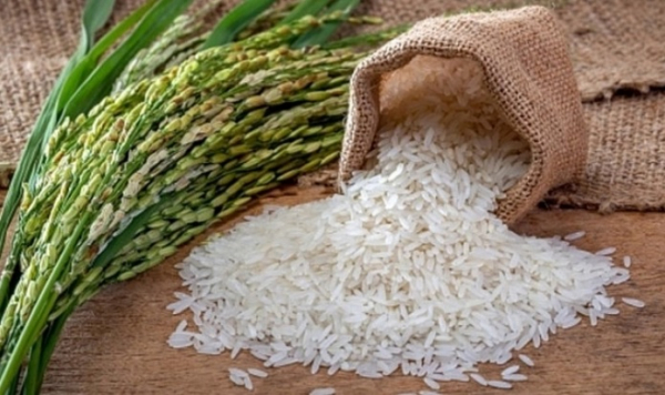 Vietnam leads in export rice prices globally -0