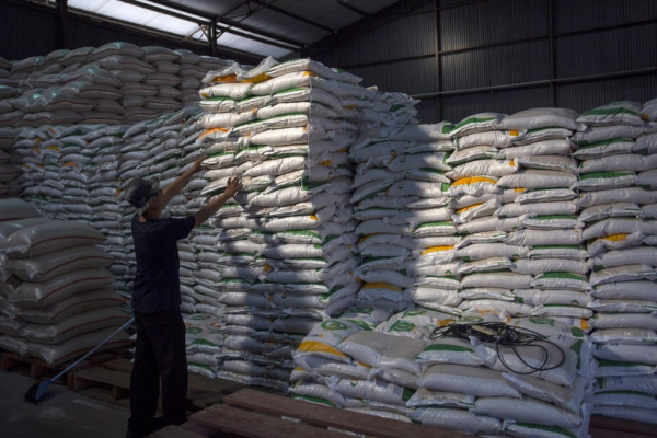 Indonesia considers acquiring a rice producer in Cambodia  -0
