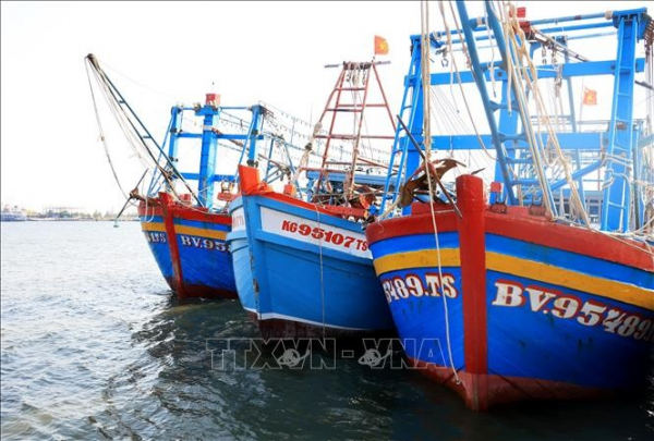 Kien Giang pushing back illegal fishing  -0