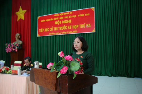 Phó Thủ tướng Thường trực Chính phủ Phạm Bình Minh tiếp xúc cử tri tại Bà Rịa - Vũng Tàu
 -0